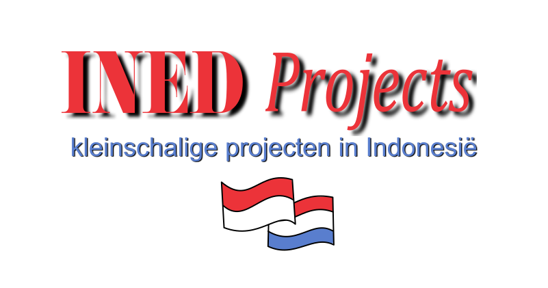 Ined Projects